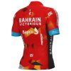 CJ309 cycling jersey back