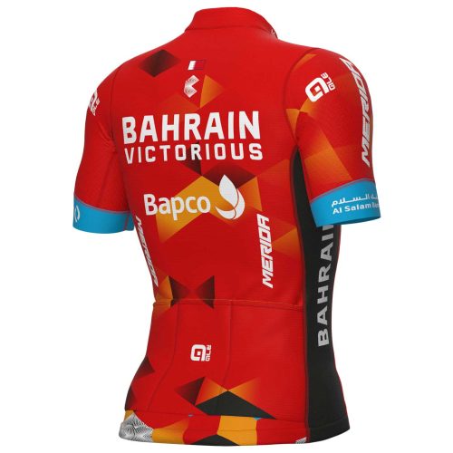 CJ309 cycling jersey back