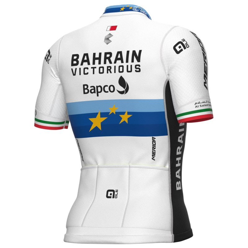 CJ313 cycling jersey back bahrain