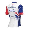 CJW014 FDJ cycling kits for men back