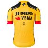 CJW026 cycling men clothing jersey back